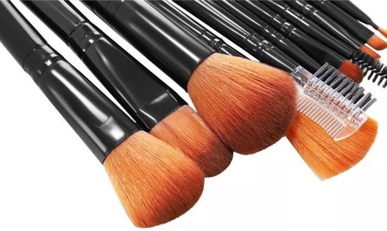 Set de 12 Pinceaux de maquillage professionnels - Set de pinceaux avec étui de rangement - Zwart