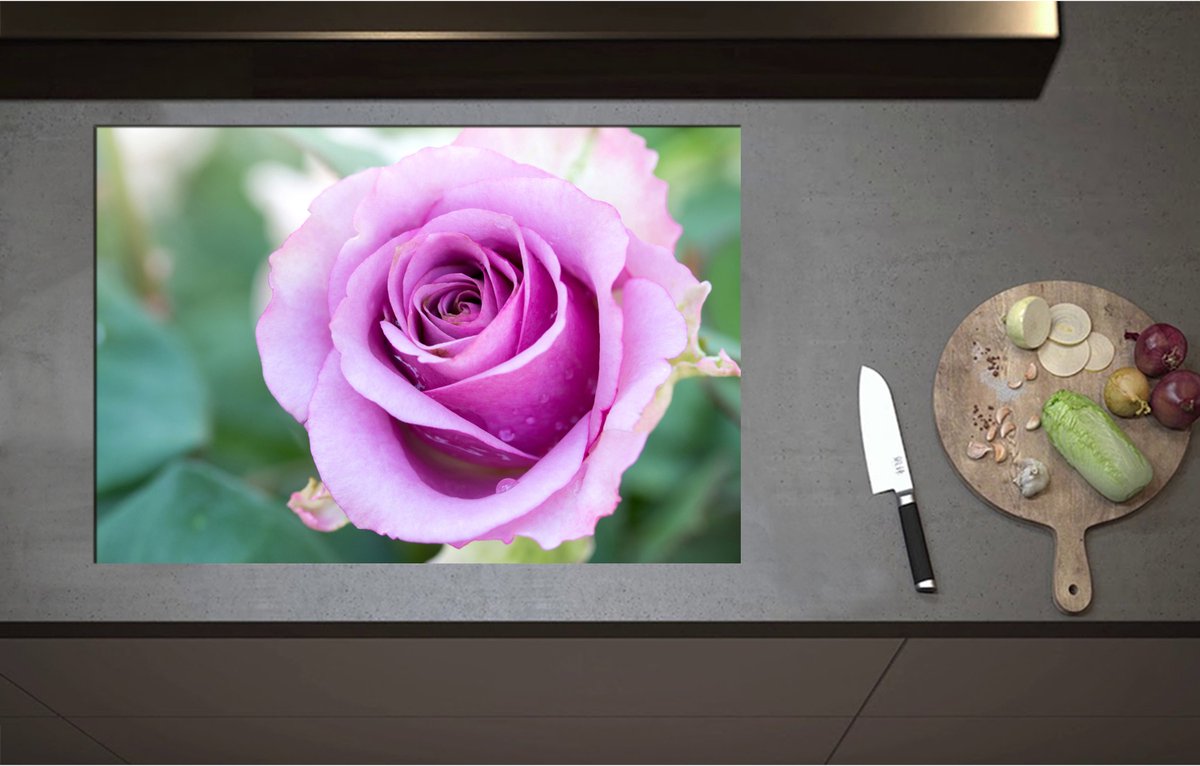 Inductieplaat Beschermer - Close Up van Mooi Bloeiende Paarse Roos - Bloemen - 80x55 cm - 2 mm Dik - Inductie Beschermer - Bescherming Inductiekookplaat - Kookplaat Beschermer van Wit Vinyl