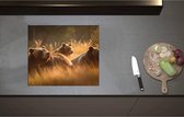 Inductieplaat Beschermer - Bruine beren in bruin gekleurd hoog gras - 58x50 cm - 2 mm Dik - Inductie Beschermer - Bescherming Inductiekookplaat - Kookplaat Beschermer van Zwart Vinyl