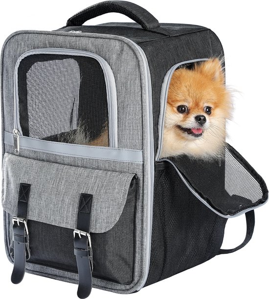 Rugzakken voor honden Archieven