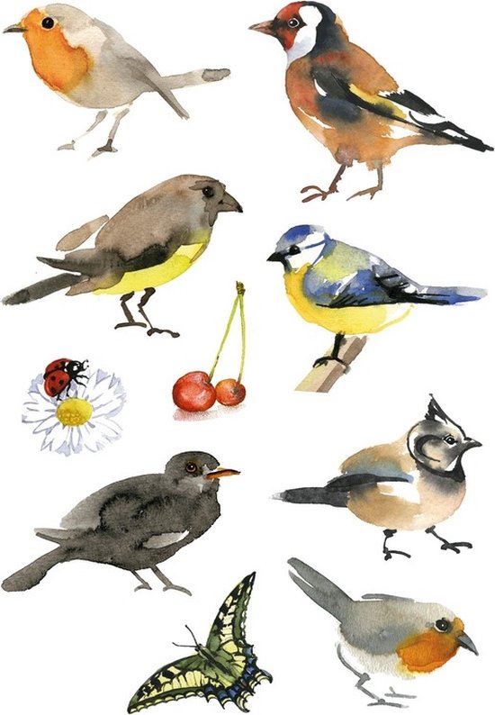 Foto: 30x vogel dieren stickers kinderstickers stickervellen knutselspullen