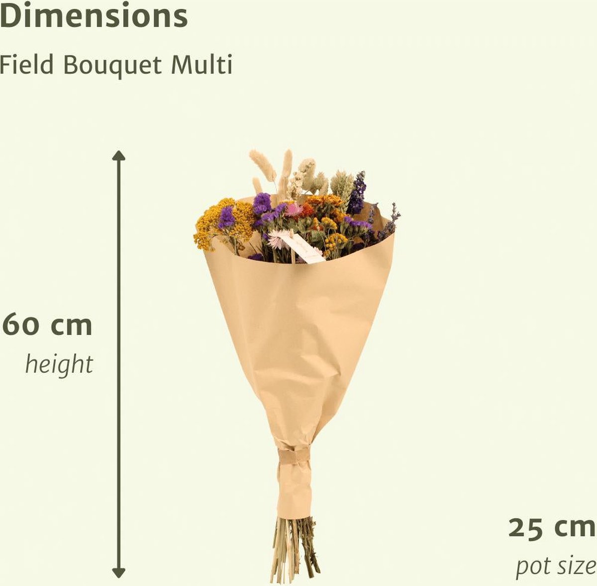 Droogbloemen Field Bouquet Multi - Ø25 - ↨60cm