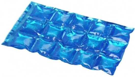 Un élément réfrigérant bleu, rectangulaire, avec des compartiments remplis de gel.