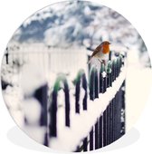 Un merle sur une clôture enneigée Plaque murale en plastique - ⌀ 30 cm - Peinture ronde - Impression photo sur cercle mural en plastique (forex) / cercle vivant / (décoration murale)