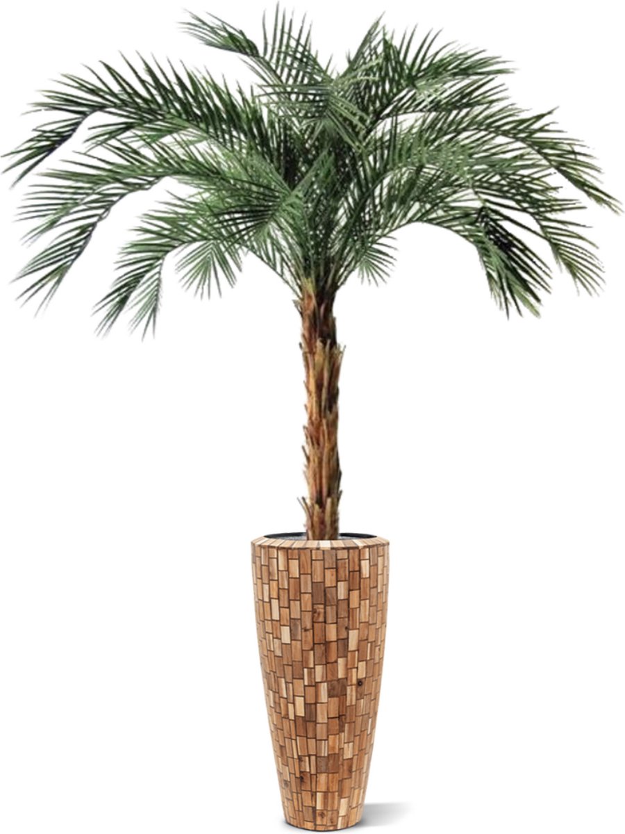 Maxifleur Phoenix kunstpalm OD deluxe 225cm Groen