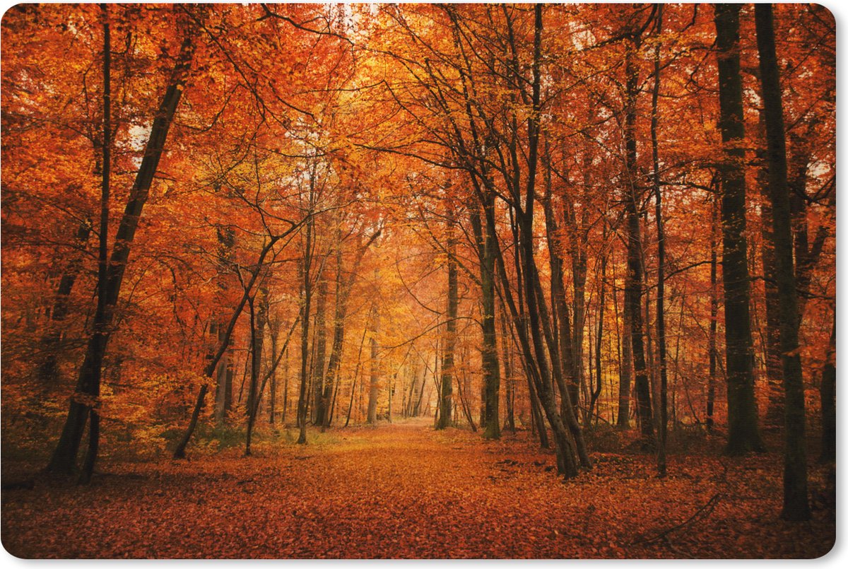 Muismat XXL 90x60 cm - Bureau onderlegger - Bureau mat Een bos met herfstachtige kleuren - Bureaumat - Gaming mousepad xl - Bureaulegger groot - Computer deskmat
