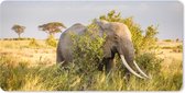 Muismat XXL - Bureau onderlegger - Bureau mat - Olifant - Dieren - Gras - Groen - Berg - 90x45 cm - XXL muismat