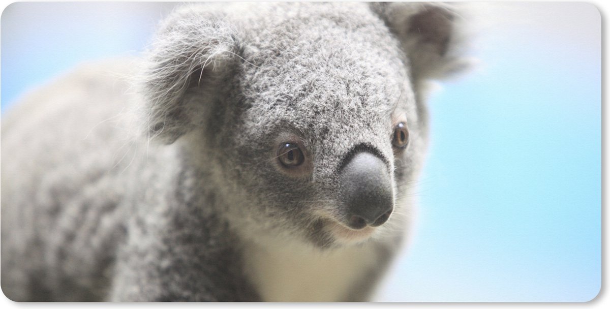 Muismat XXL 80x40 cm - Bureau onderlegger - Bureau mat Koala - Close up - Dier - Kinderen - Jongens - Meiden - Bureaumat - Gaming mousepad xl - Bureaulegger groot - Computer deskmat