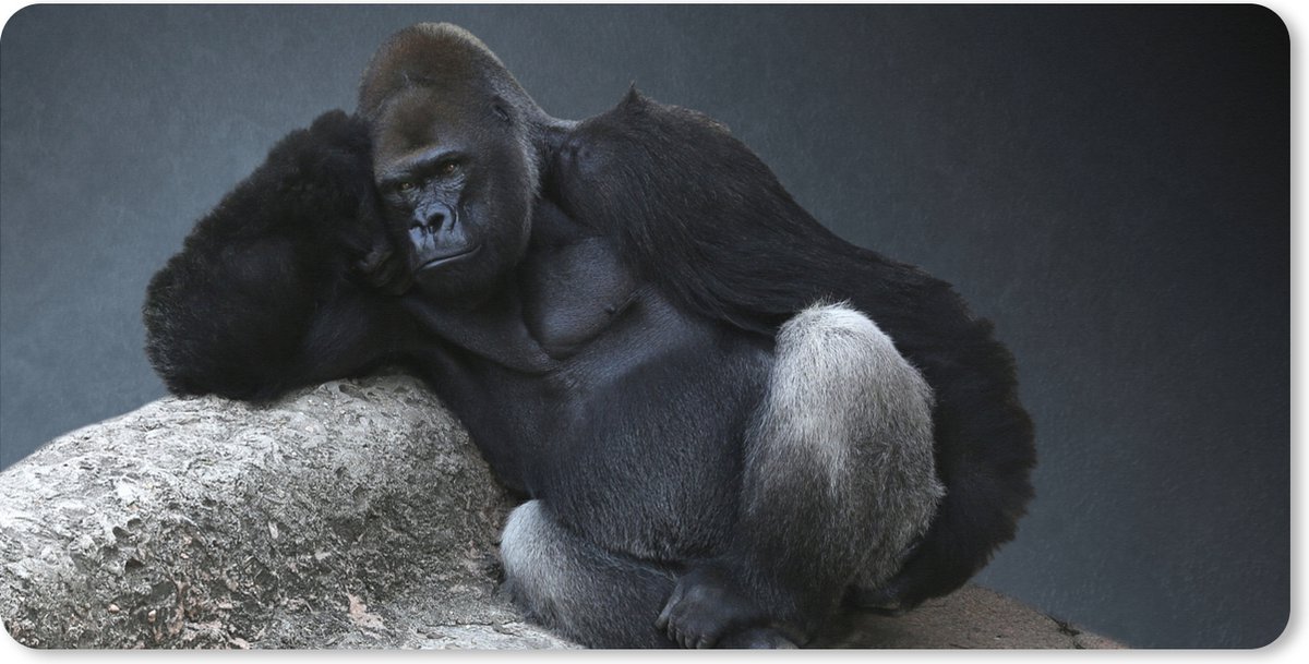 Muismat XXL - Bureau onderlegger - Bureau mat - Een Gorilla die aan het relaxen is op een steen - 90x45 cm - XXL muismat