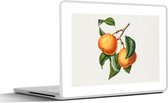 Laptop sticker - 11.6 inch - Fruit - Boom - Eten - 30x21cm - Laptopstickers - Laptop skin - Cover
