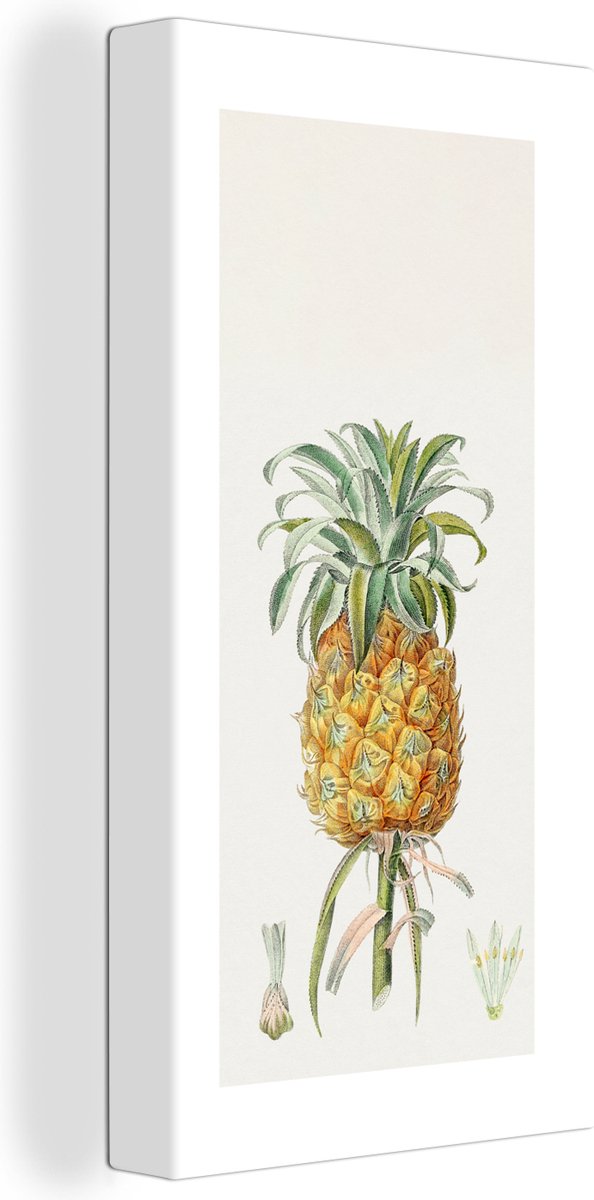 Canvas Schilderij Eten - Ananas - Fruit - 40x80 cm - Wanddecoratie