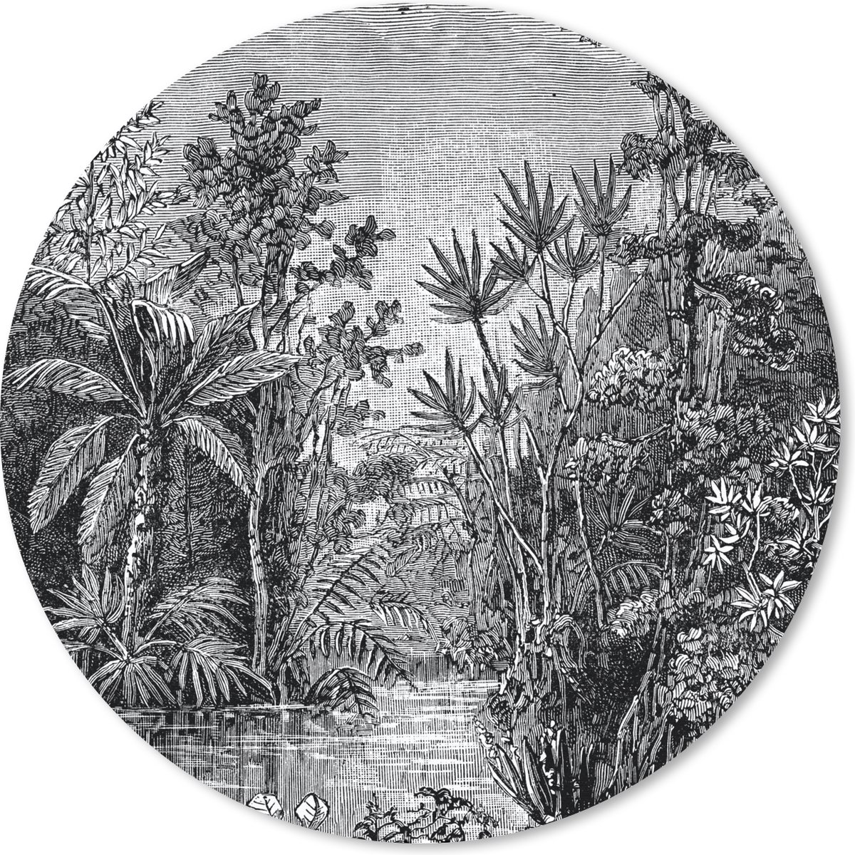 Muismat rond 20x20 cm - Mousepad Design - Natuur - Water - Planten - Ronde muismatten