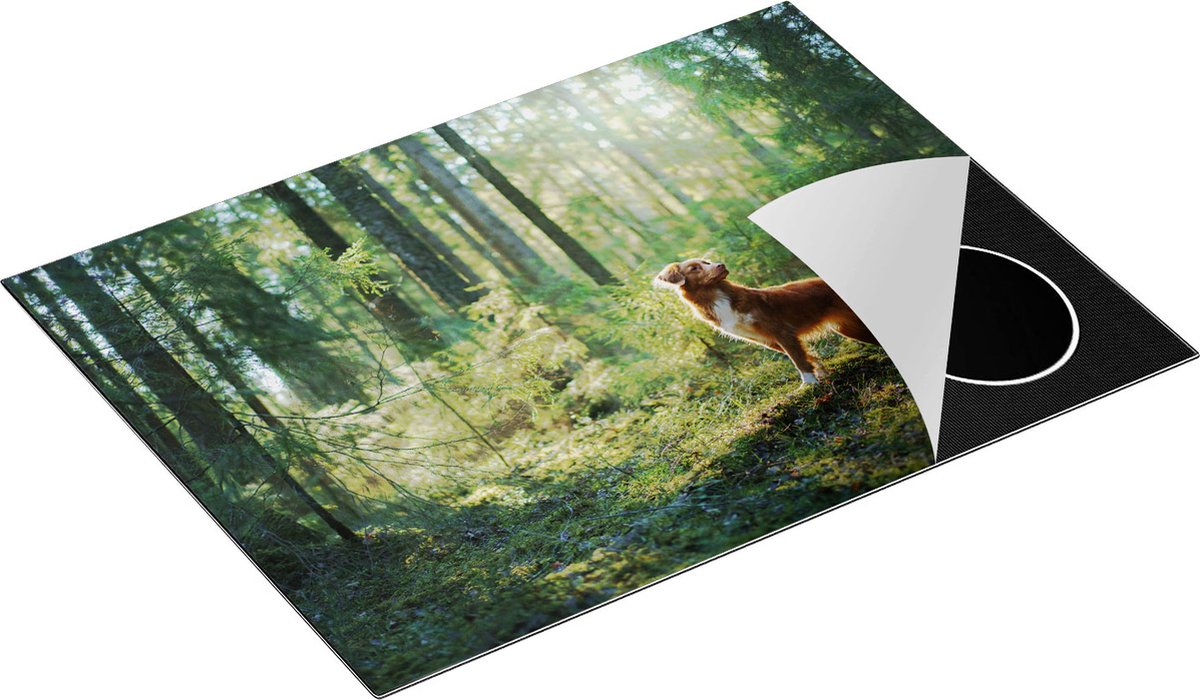 Chefcare Inductie Beschermer Retriever Hond in het Bos met Zon - 71x52 cm - Afdekplaat Inductie - Kookplaat Beschermer - Inductie Mat