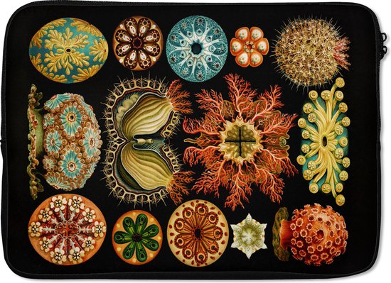 Foto: Laptophoes 13 inch vintage ernst haeckel zeedier natuur zee kunst laptop sleeve binnenmaat 32x22 5 cm zwarte achterkant