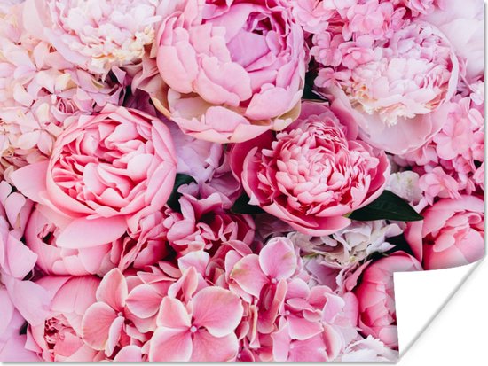 Affiche Fleurs - Rose - Roses - 160x120 cm XXL