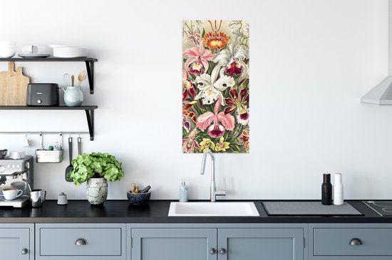 Affiche Fleurs - Ernst Haeckel - Vintage - Orchidée - 40x80 cm