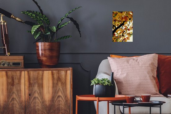 Affiche Arbres - Feuilles d'automne - Nature - 20x30 cm