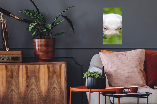Poster Cochon - Animaux - Grand - 20x40 cm
