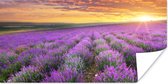 Poster Lavendel - Wolken - Lente - 120x60 cm