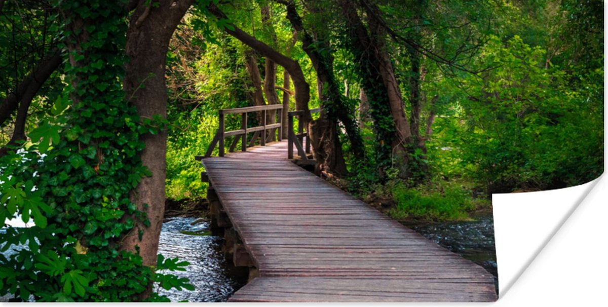 Poster Bos - Natuur - Brug - 120x60 cm