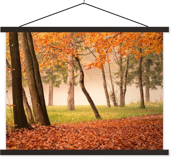 Porte-affiche avec affiche - Affiche scolaire - Feuilles - Automne - Forêt - 40x30 cm - Lattes noires