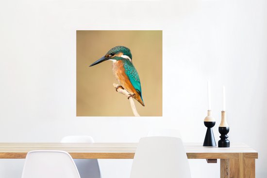 Affiche Martin-pêcheur - Animaux - Vogel - 50x50 cm
