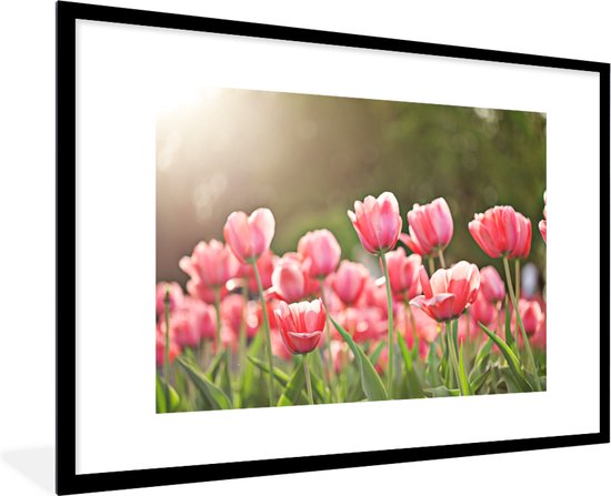 Fotolijst incl. Poster - Tulpen - Zon - Lente - 90x60 cm - Posterlijst