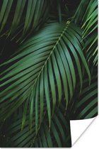 Poster Palmbladeren - Palmen - Tropical - 40x60 cm
