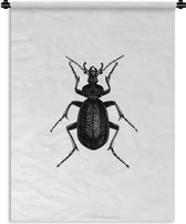 Wandkleed - Wanddoek - Zwart wit - Kever - Vintage - Insecten - 90x120 cm - Wandtapijt