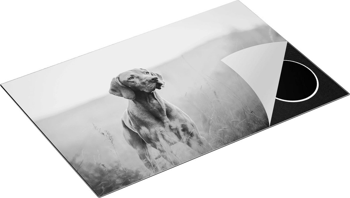 Chefcare Inductie Beschermer Hongaarse Vizsla Hond in het Gras - Zwart Wit - 80x52 cm - Afdekplaat Inductie - Kookplaat Beschermer - Inductie Mat
