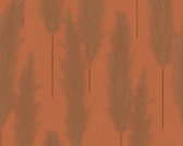 PAMPASGRAS BEHANG | Landelijk & Botanisch - bruin oranje - A.S. Création #Hygge