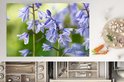 Product afbeelding  10