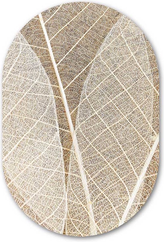 Muurovaal Blad motief - WallCatcher | Acrylglas 60x90 cm | Ovalen schilderij | Wandovaal Leaf Texture