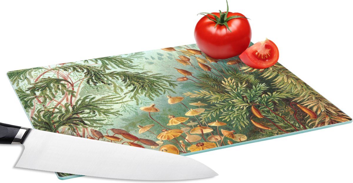 Glazen Snijplank - 28x20 - Oude meesters - Kunst - Muscinae - Haeckel - Snijplanken Glas