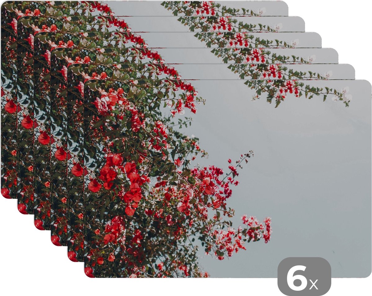 Placemats - Bloemen - Lucht - Roze - Bladeren - Onderlegger placemats - 45x30 cm - Placemat - 6 stuks