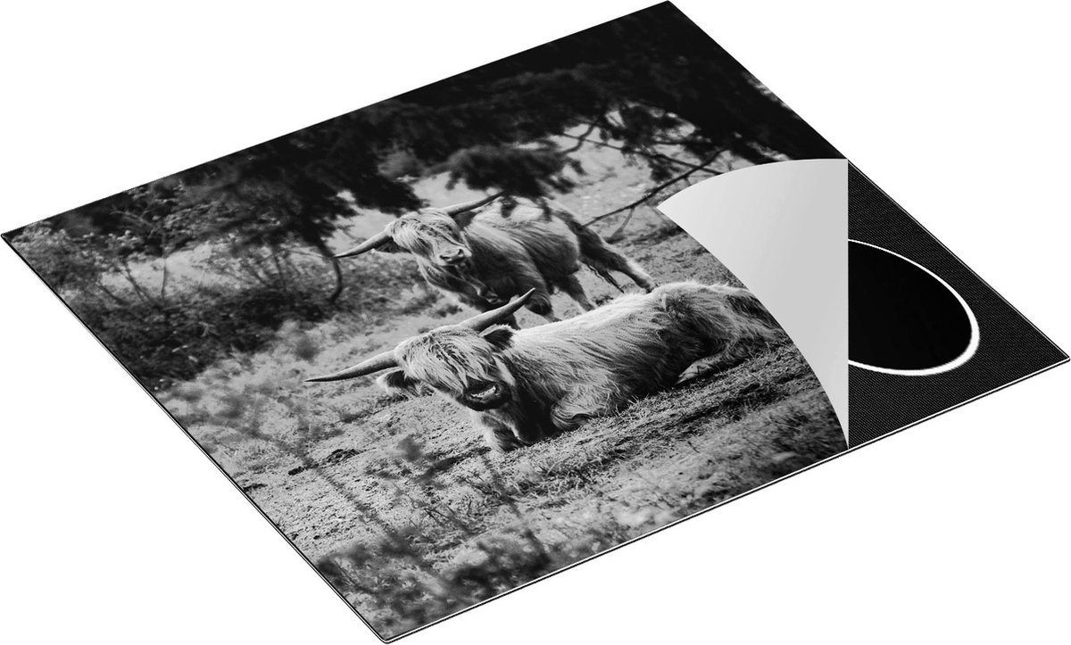 Chefcare Inductie Beschermer Twee Schotse Hooglanders in de Bossen - Zwart Wit - 59x52 cm - Afdekplaat Inductie - Kookplaat Beschermer - Inductie Mat