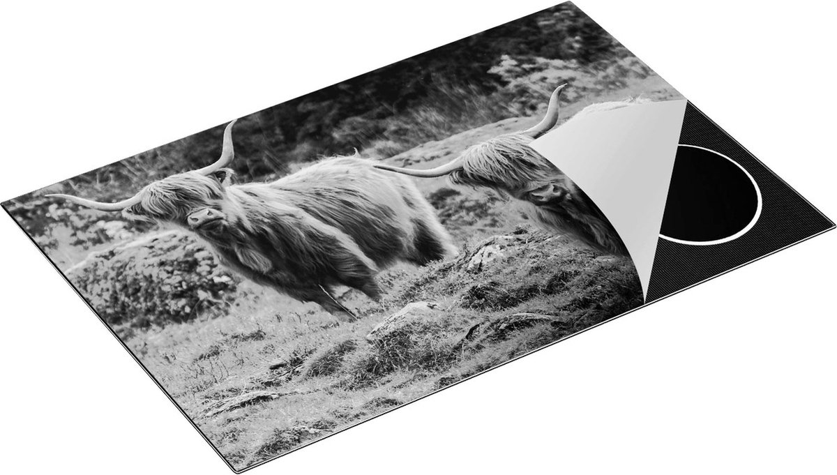 Chefcare Inductie Beschermer Twee Schotse Hooglanders bij Stenen - Zwart Wit - 80x50 cm - Afdekplaat Inductie - Kookplaat Beschermer - Inductie Mat
