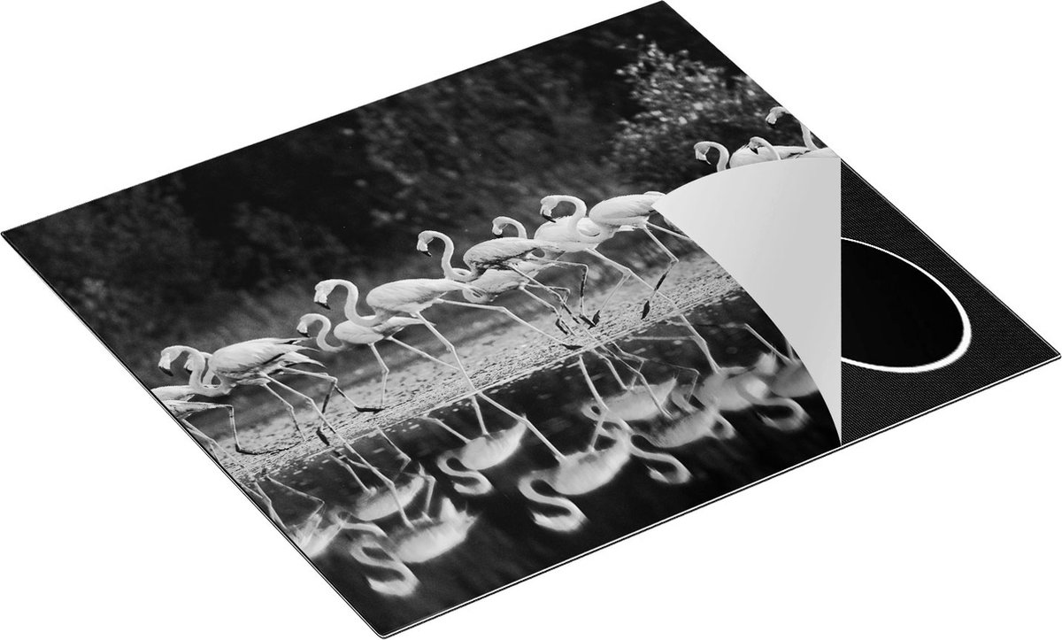 Chefcare Inductie Beschermer Kudde Flamingo's op het Water - Zwart Wit - 60x52 cm - Afdekplaat Inductie - Kookplaat Beschermer - Inductie Mat