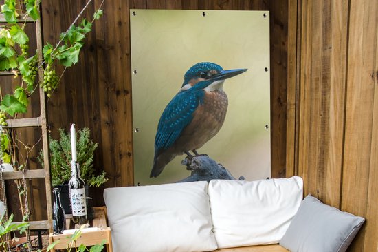 Affiche de Jardin Martin-pêcheur - Branche - Vogel - 200x200 cm - Toile de jardin