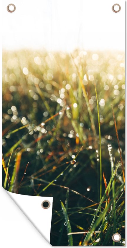 Tuinposter - Gras - Natuur - Water - Groen - Oranje - Bruin - 80x160 cm - Tuin decoratie - Tuin - Muurdecoratie - Wanddecoratie - Tuindoek - Buitenposter