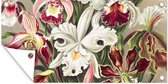 Tuinposter - Tuin - Bloemen - Kunst - Vintage - Schuttingdecoratie - Ernst Haeckel - 80x40 cm - Tuinschilderij - Wanddecoratie - Tuindoek - Buitenposter