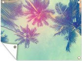 Tableau de jardin - Jardin - Palmier - Feuilles de palmier - Été - 40x30 cm - Toile de clôture - Toile de jardin - Affiche extérieure