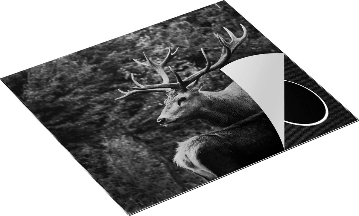 Chefcare Inductie Beschermer Twee Herten in het Bos - Zwart Wit - 58,3x51,3 cm - Afdekplaat Inductie - Kookplaat Beschermer - Inductie Mat