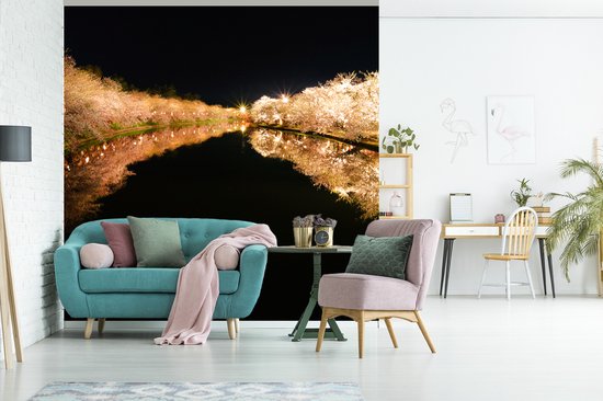 Papier peint - Papier peint Papier peint photo Cerisier - Fleur - Lumière - Largeur 240 cm x hauteur 240 cm