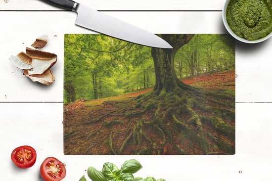 Planche à découper en Verres - 28x20 - Arbre - Forêt - Feuilles d'automne - Planches à découper en Glas