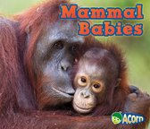 Animal Babies - Mammal Babies