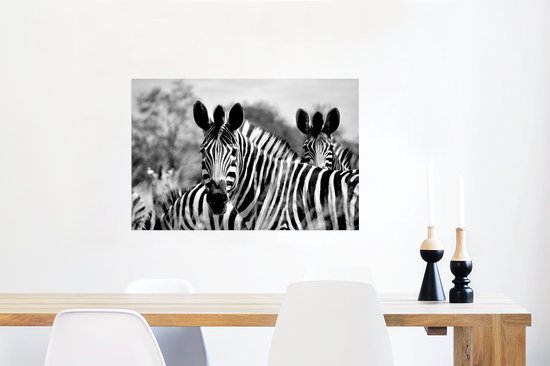 Poster Zebra - Zwart - Wit - Animaux - 90x60 cm
