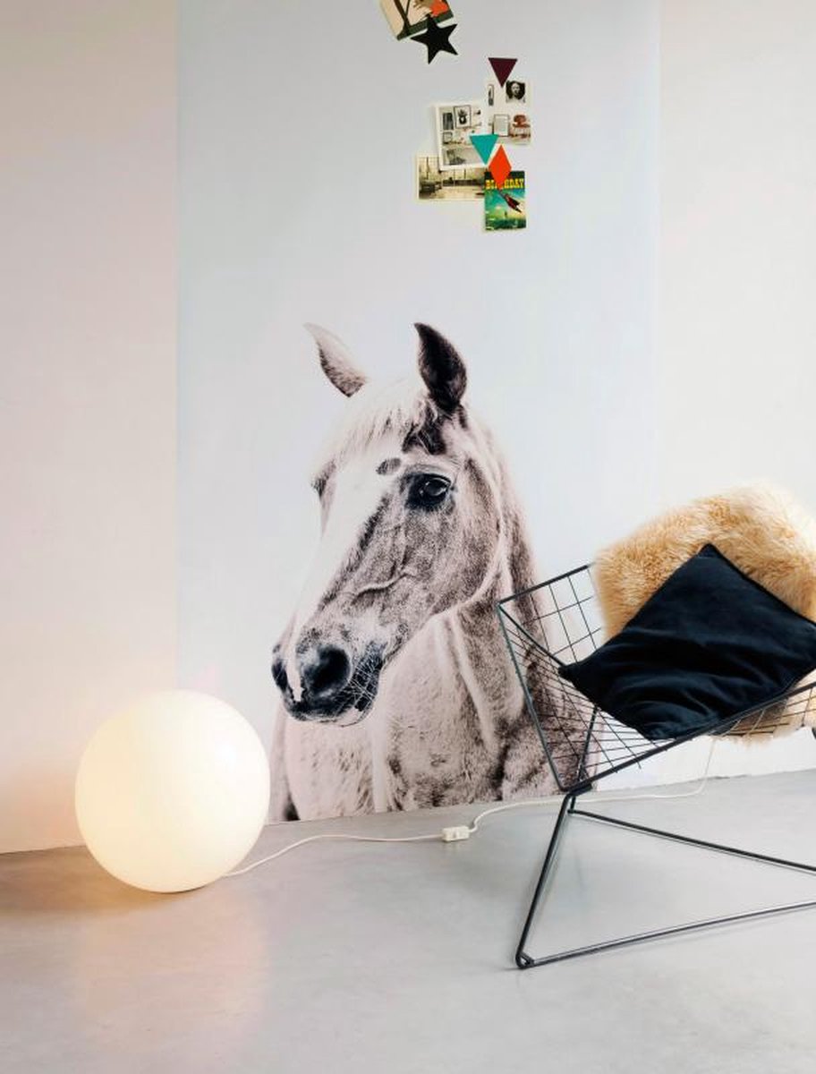 Groovy Magnets Magneetbehang paard large, Verbeterde kwaliteit!!!