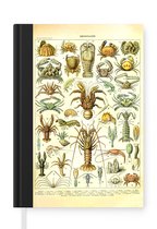 Notitieboek - Schrijfboek - Kreeft - Dieren - Zeedieren - Vintage - Adolphe Millot - Notitieboekje klein - A5 formaat - Schrijfblok