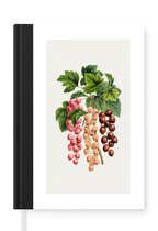 Notitieboek - Schrijfboek - Fruit - Bessen - Eten - Notitieboekje klein - A5 formaat - Schrijfblok